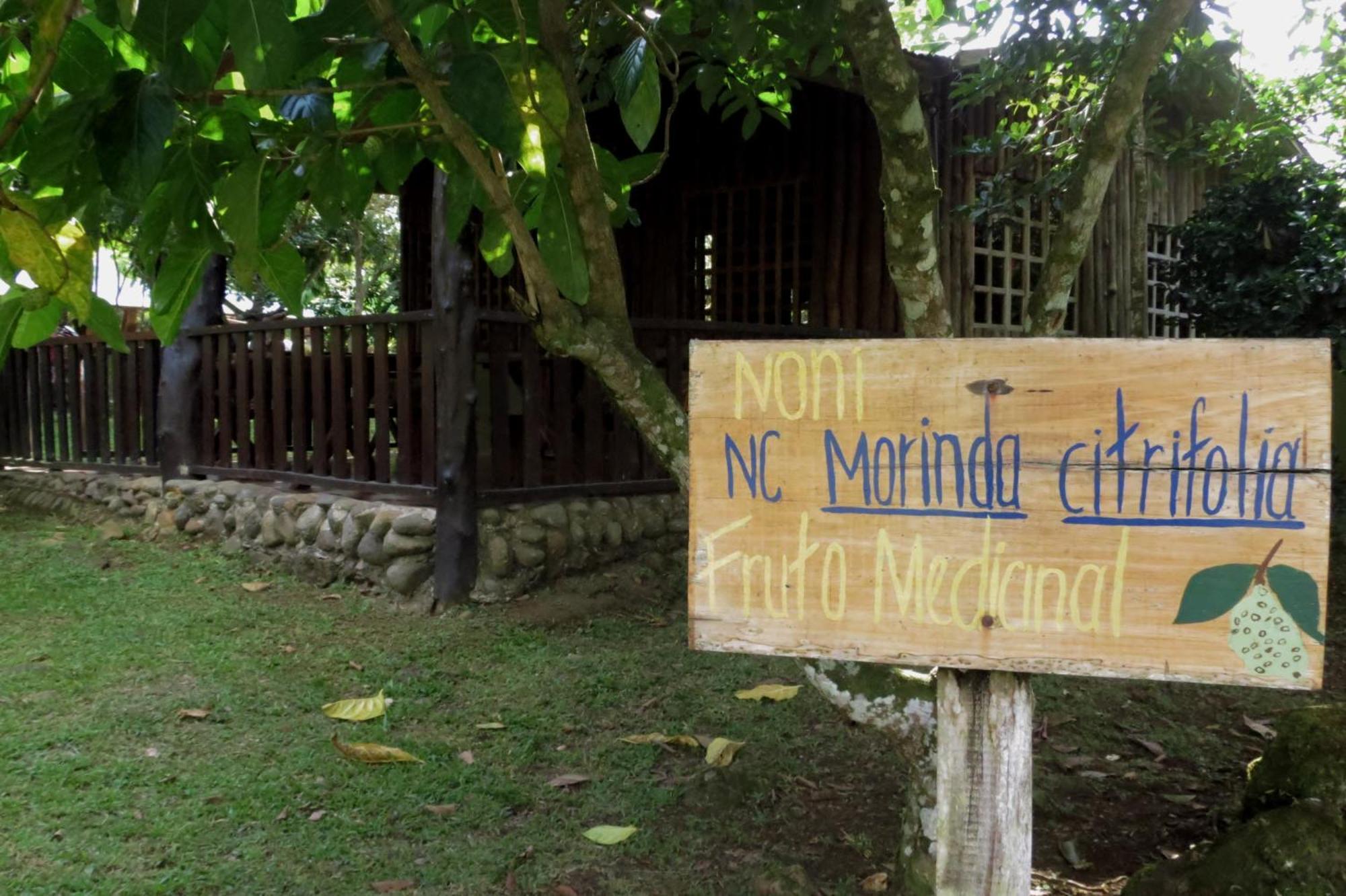 Vocare Finca Agroecologica Upala ภายนอก รูปภาพ