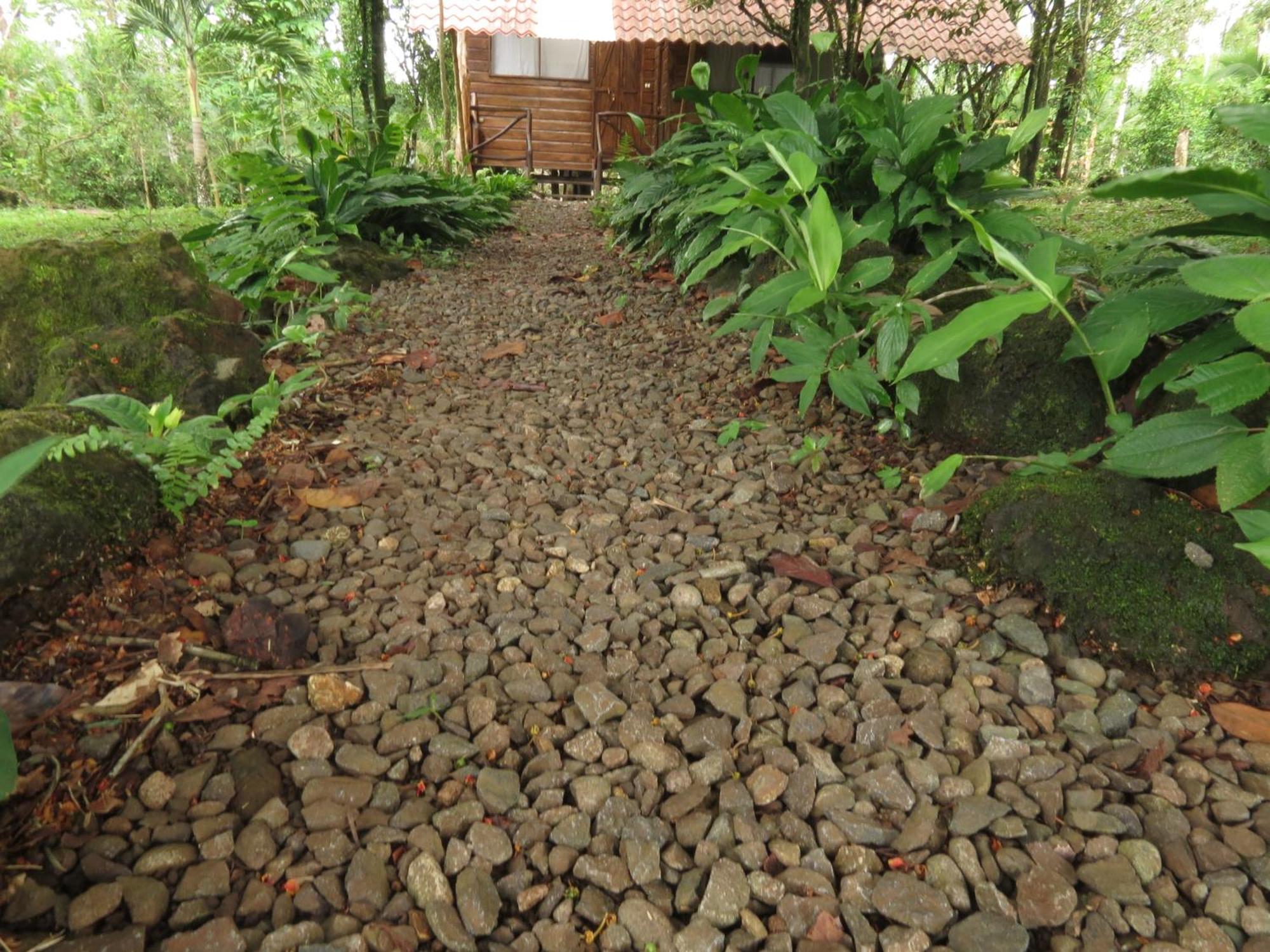 Vocare Finca Agroecologica Upala ภายนอก รูปภาพ