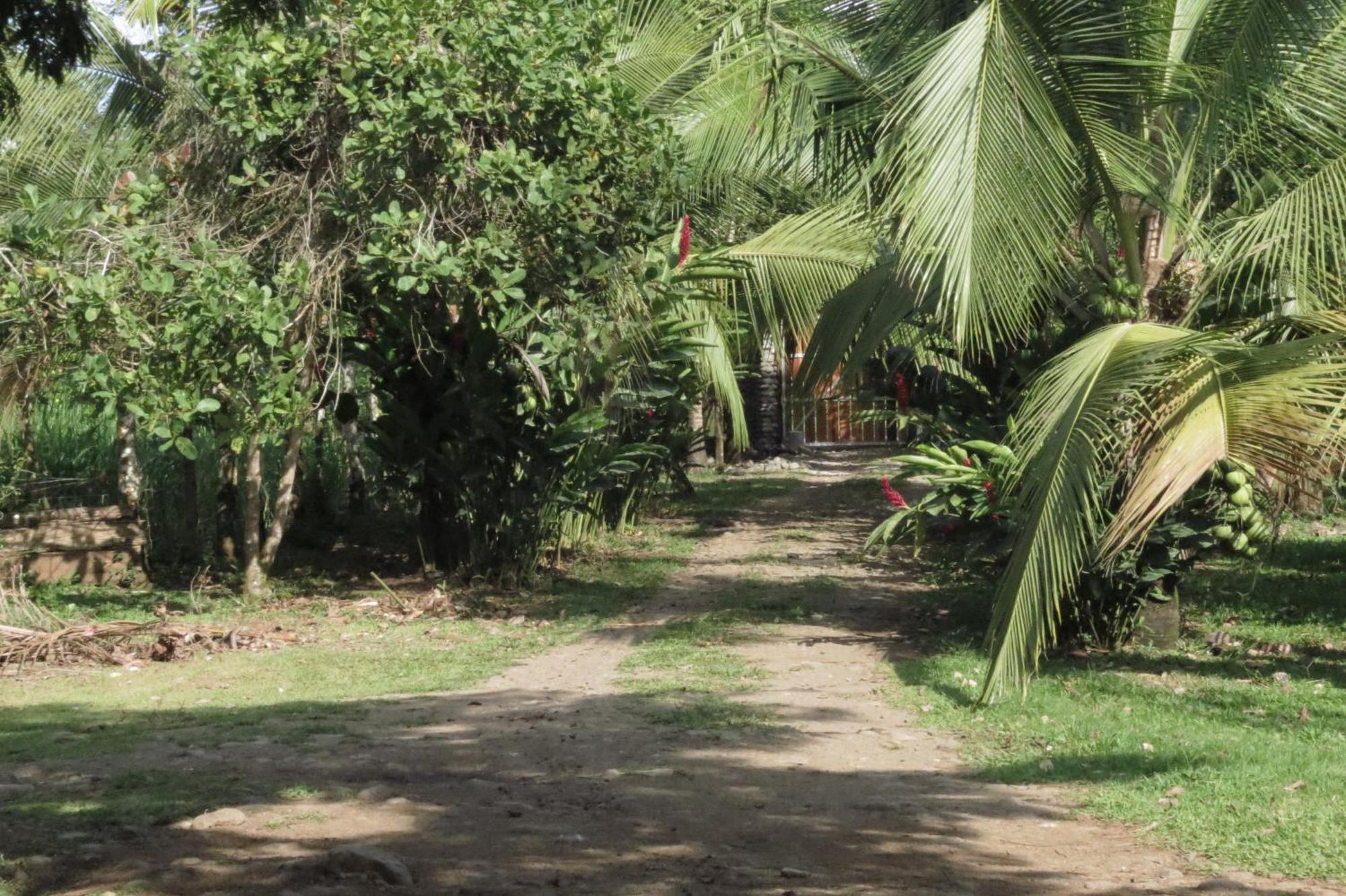Vocare Finca Agroecologica Upala ภายนอก รูปภาพ