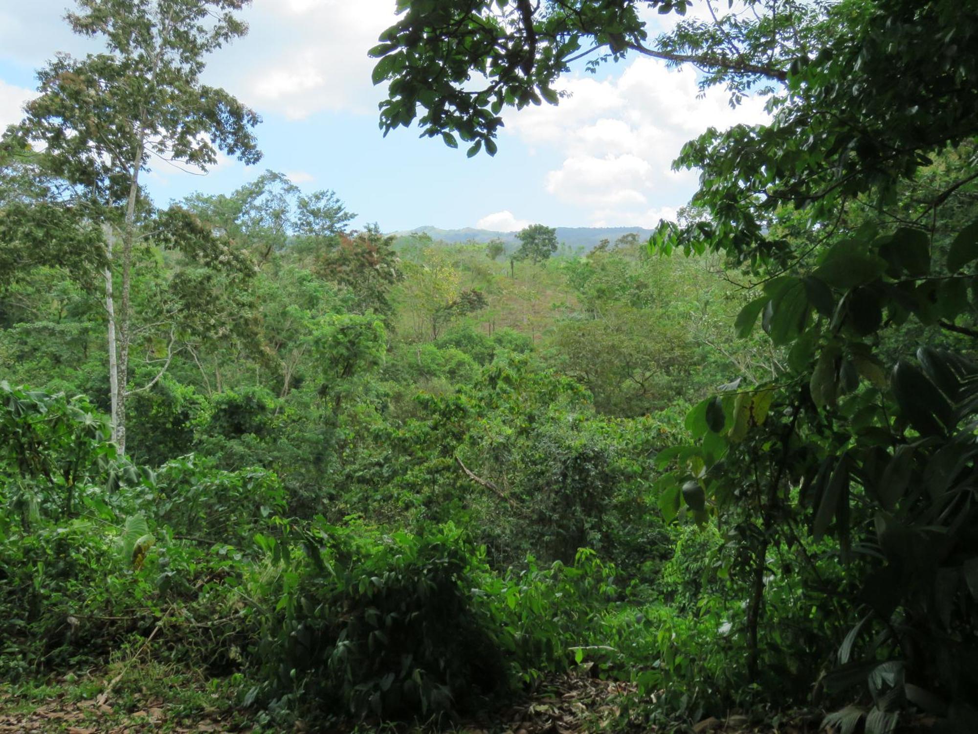 Vocare Finca Agroecologica Upala ภายนอก รูปภาพ